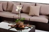 Gartenmöbel Lounge Sofa City braun